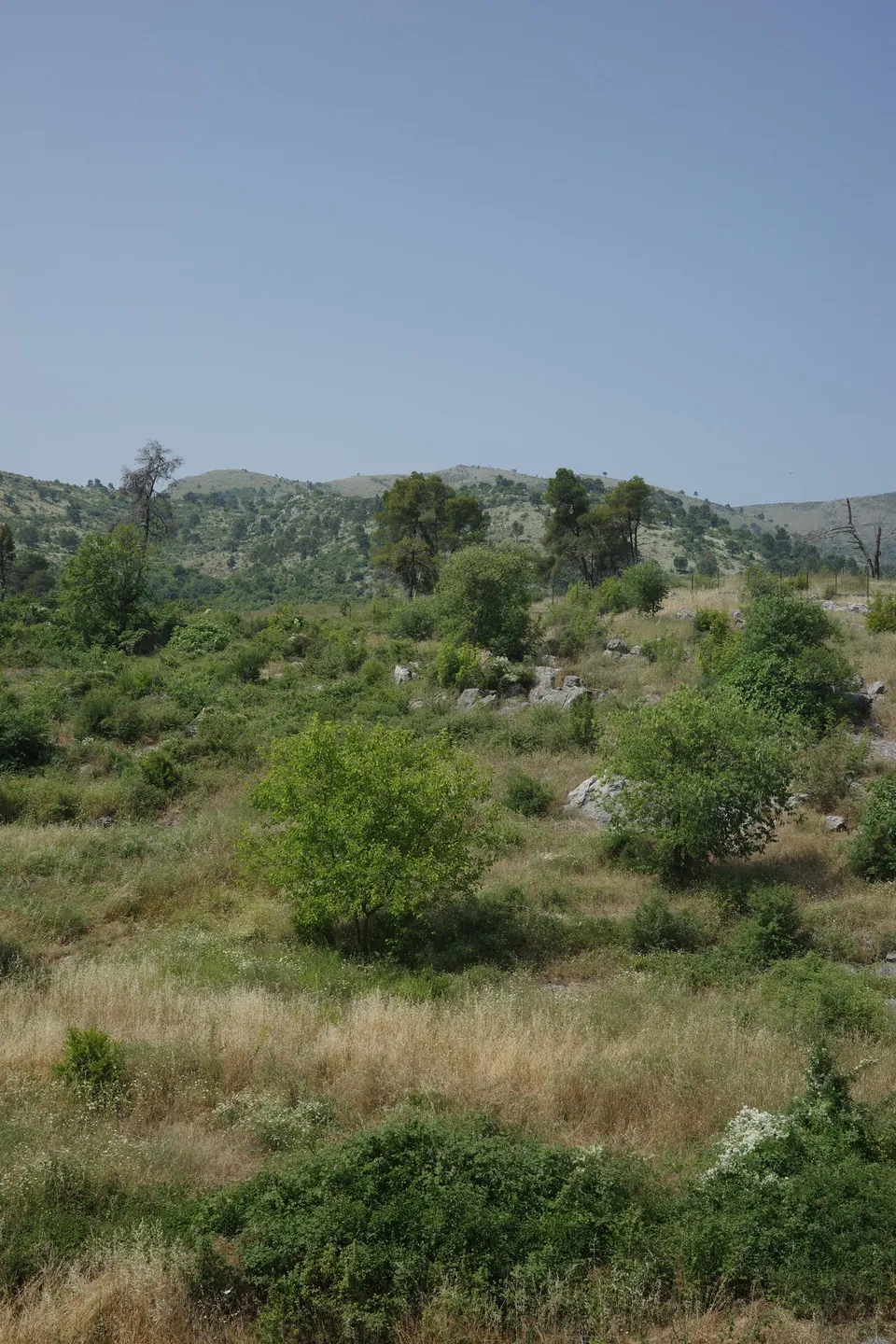 Shiroka Hotel Renovation